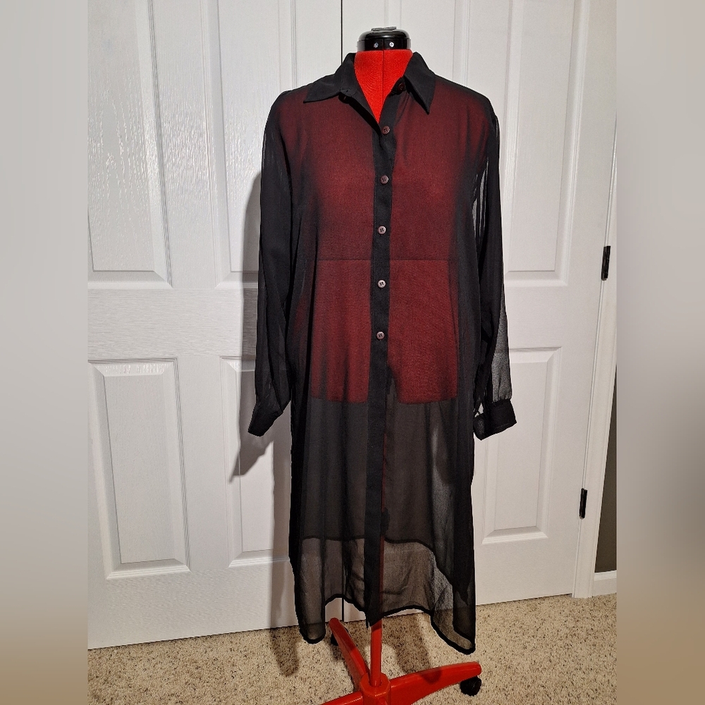 Chic Black Sheer Long Sleeve Dress